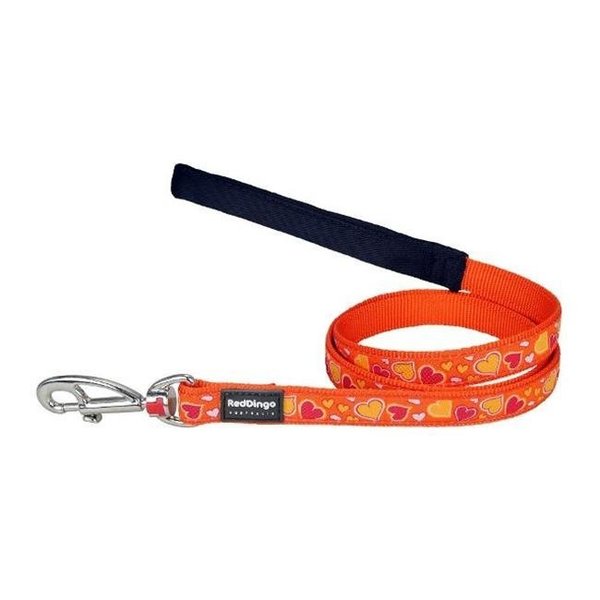 Red Dingo Red Dingo L6-BZ-OR-ME Dog Lead Design Breezy Love Orange; Medium L6-BZ-OR-ME